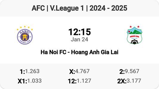 🎉 Ha Noi FC vs Hoang Anh Gia Lai: A Clash to Remember! ⚽