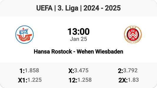 Hansa Rostock Battle Wehen Wiesbaden! ⚽️🔥